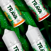 Жидкость TRAVA Salt - Черника ментол 30 мл (20 мл)